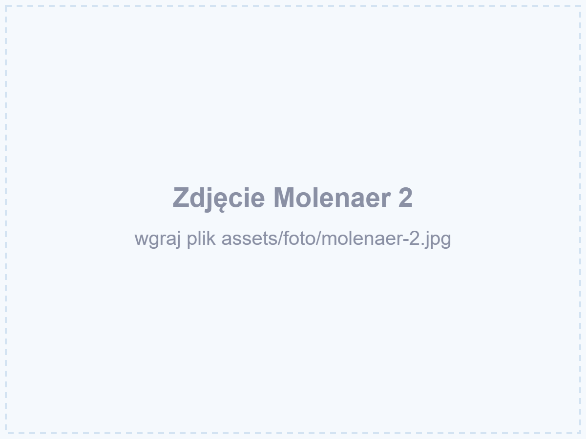 Molenaer 2