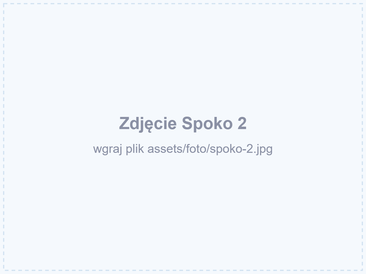 Spoko 2