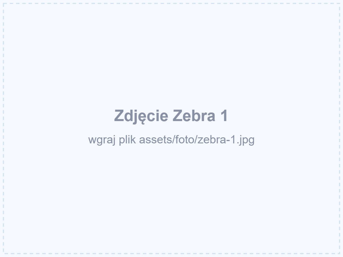 Zebra 1