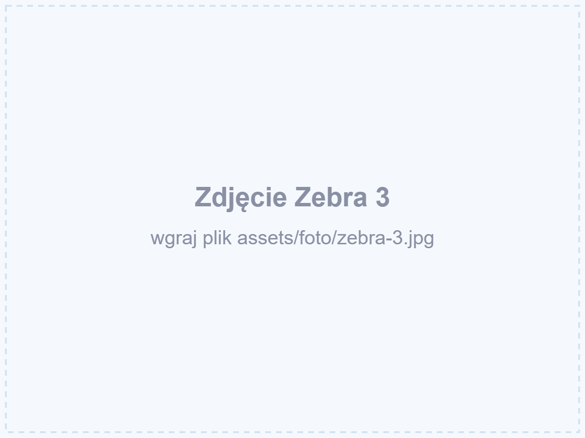Zebra 3